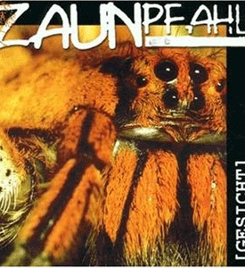 Zaunpfahl – Gesicht